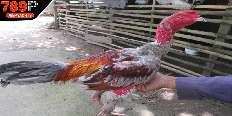 Kiểm tra sức khỏe định kỳ phát hiện sớm xử lý kịp thời