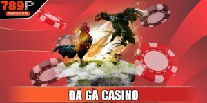 Đá Gà Casino