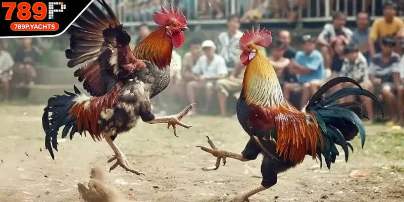 Những người dẫn dắt trận đấu đóng vai trò vô cùng quan trọng