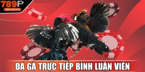 Đá Gà Trực Tiếp Bình Luận Viên